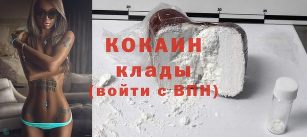 твердый Алексин