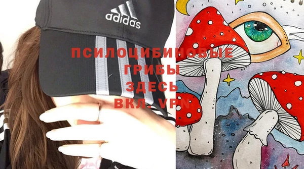 соль ск Алзамай