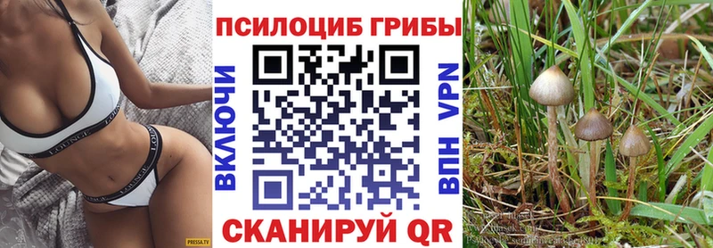 ссылка на мегу ССЫЛКА  Ужур  Галлюциногенные грибы MAGIC MUSHROOMS  цена наркотик 