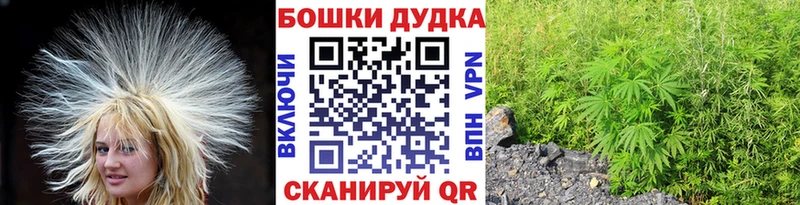 Конопля Bruce Banner Ужур