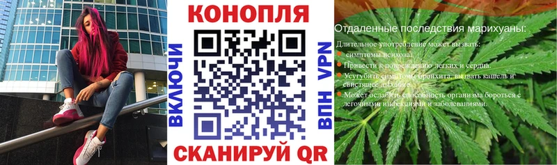 Марихуана сатива Ужур